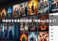 哇塞助手采集转化教程（哇塞app怎么了）