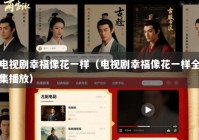 电视剧幸福像花一样（电视剧幸福像花一样全集播放）