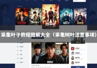 采集叶子教程图解大全（采集树叶注意事项）