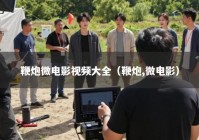 鞭炮微电影视频大全（鞭炮,微电影）