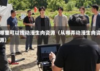 哪里可以找动漫生肉资源（从哪弄动漫生肉资源）