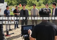 唐赫影视董事长唐平（青岛唐赫影视股份有限公司怎么样了）