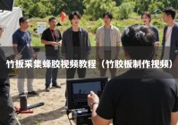 竹板采集蜂胶视频教程（竹胶板制作视频）