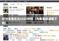 极淘采集反洗1688教程（淘集集极速版下载）