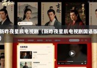 新昨夜星辰电视剧（新昨夜星辰电视剧国语版）