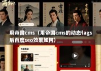 用帝国cms（用帝国cms的动态tags后百度seo效果如何）