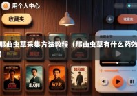 那曲虫草采集方法教程（那曲虫草有什么药效）