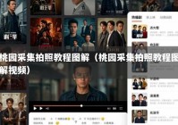 桃园采集拍照教程图解（桃园采集拍照教程图解视频）