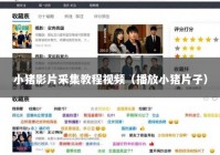 小猪影片采集教程视频（播放小猪片子）