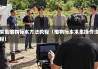采集植物标本方法教程（植物标本采集操作流程）