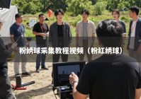 粉绣球采集教程视频（粉红绣球）