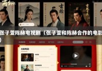 张子萱陈赫电视剧（张子萱和陈赫合作的电影）