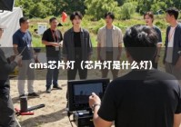 cms芯片灯（芯片灯是什么灯）