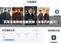 药草采集教程图解视频（采草药的图片）