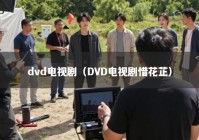 dvd电视剧（DVD电视剧惜花芷）