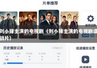 刘小锋主演的电视剧（刘小锋主演的电视剧谍战片）