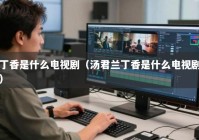 丁香是什么电视剧（汤君兰丁香是什么电视剧）