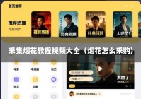 采集烟花教程视频大全（烟花怎么采购）