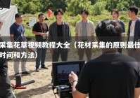 采集花草视频教程大全（花材采集的原则最佳时间和方法）