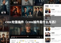 cms充值插件（cms插件是什么东西）