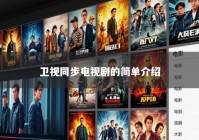 卫视同步电视剧的简单介绍