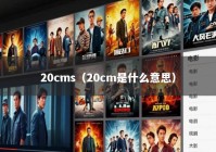 20cms（20cm是什么意思）