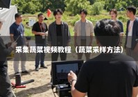 采集蔬菜视频教程（蔬菜采样方法）