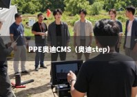 PPE奥迪CMS（奥迪step）