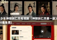 少年神探狄仁杰电视剧（神探狄仁杰第一部30集免费）