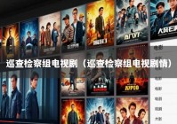 巡查检察组电视剧（巡查检察组电视剧情）