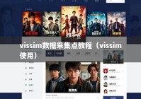 vissim数据采集点教程（vissim使用）