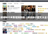 绣球种子采集视频教程（绣球种子图片大全）