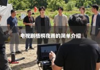 电视剧梧桐夜雨的简单介绍