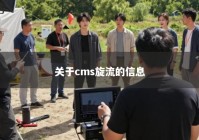 关于cms旋流的信息