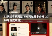 91网红导航网站（91网址是多少呀 2020年百度知道）