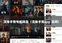 流体手势导航网盘（流体手势app 官网）