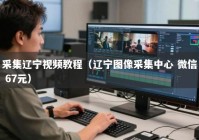 采集辽宁视频教程（辽宁图像采集中心 微信 67元）