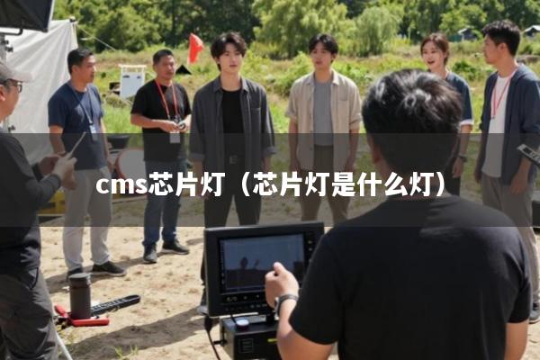cms芯片灯(芯片灯是什么灯)