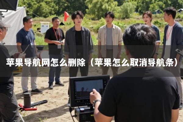 苹果导航网怎么删除(苹果怎么取消导航条)